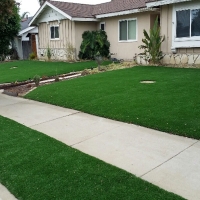 Artificial Grass Carpet Baneberry, Tennessee Landscape Photos, Front Yard Landscape Ideas