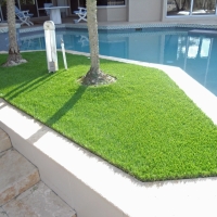 Artificial Grass Carpet Bethpage, Tennessee Design Ideas, Backyard Landscaping