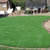 Artificial Grass Carpet Greenfield, Tennessee Landscape Ideas, Backyard Design