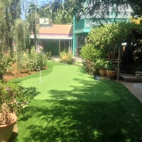 Artificial Grass Carpet Hohenwald, Tennessee Garden Ideas