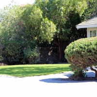 Artificial Grass Carpet Puryear, Tennessee Rooftop, Small Front Yard Landscaping