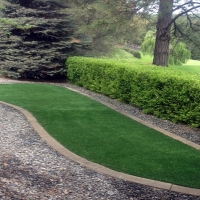 Artificial Grass Linden, Tennessee Landscaping