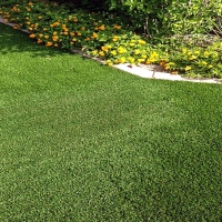 Artificial Grass New Union, Tennessee Garden Ideas, Front Yard Landscaping