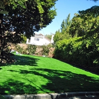 Artificial Lawn Columbia, Tennessee Gardeners, Backyard Makeover