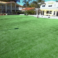 Artificial Turf Cost Elgin, Tennessee Roof Top, Swimming Pool Designs