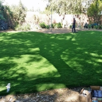 Artificial Turf Cost Mooresburg, Tennessee Landscaping, Backyard Landscaping Ideas