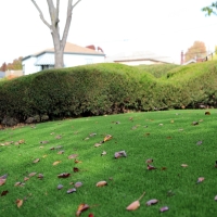 Artificial Turf Cost Orme, Tennessee Home And Garden, Front Yard Landscaping Ideas