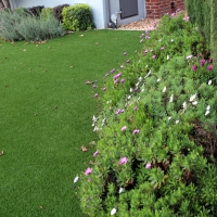 Artificial Turf East Chattanooga, Tennessee Lawns, Front Yard