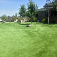 Artificial Turf Elkton, Tennessee Landscape Ideas, Recreational Areas