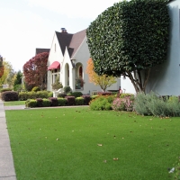 Best Artificial Grass Falling Water, Tennessee Lawn And Landscape, Front Yard Landscaping