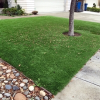 Best Artificial Grass Spring City, Tennessee Home And Garden, Front Yard