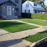 Fake Grass Carpet Cedar Hill, Tennessee Design Ideas, Small Front Yard Landscaping