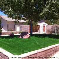 Fake Grass La Vergne, Tennessee Lawn And Garden, Front Yard Ideas