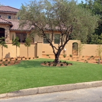 Fake Lawn Collinwood, Tennessee Landscape Photos, Small Front Yard Landscaping