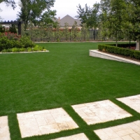 Fake Turf Adams, Tennessee Landscape Ideas, Backyards