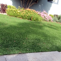 Fake Turf Lexington, Tennessee Home And Garden, Landscaping Ideas For Front Yard