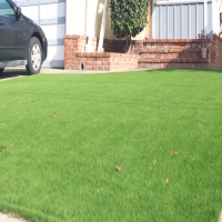 Grass Carpet Dayton, Tennessee Home And Garden, Front Yard Landscaping