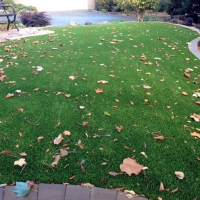 Grass Carpet Pleasant Hill, Tennessee Lawn And Landscape, Front Yard Landscape Ideas