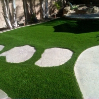 Grass Installation Milledgeville, Tennessee Landscape Design, Backyard Designs