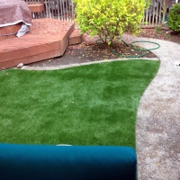 Grass Turf Clarkrange, Tennessee Garden Ideas, Small Backyard Ideas