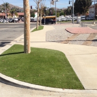 Green Lawn Lafayette, Tennessee Backyard Playground, Commercial Landscape