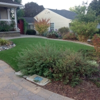 Outdoor Carpet Dunlap, Tennessee Landscape Design, Front Yard Ideas