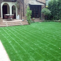 Synthetic Grass Cost Enville, Tennessee Landscape Ideas, Front Yard Ideas