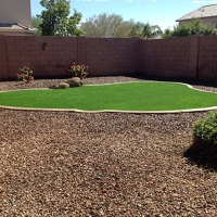 Synthetic Grass Martin, Tennessee Landscape Photos, Backyard