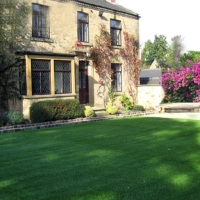 Synthetic Grass Monterey, Tennessee Backyard Playground, Front Yard