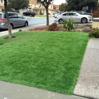 Synthetic Grass Signal Mountain, Tennessee Gardeners, Front Yard