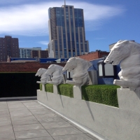 Synthetic Turf Centertown, Tennessee Roof Top, Veranda