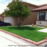 Synthetic Turf Supplier Millersville, Tennessee Landscaping Business, Front Yard Landscape Ideas