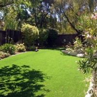 Turf Grass Manchester, Tennessee Backyard Playground, Backyards