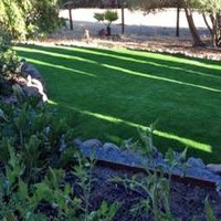 Turf Grass Somerville, Tennessee Rooftop, Small Backyard Ideas