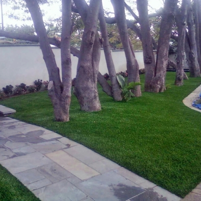 Artificial Grass Installation Tazewell, Tennessee Landscape Photos, Small Front Yard Landscaping