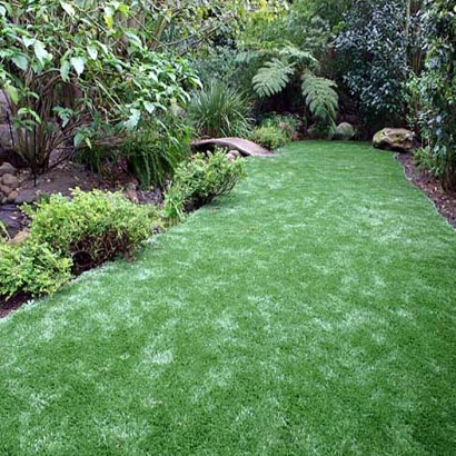 Artificial Lawn Cumberland Gap, Tennessee City Landscape, Backyard Ideas