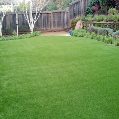 Artificial Lawn Union City, Tennessee Backyard Playground, Small Backyard Ideas