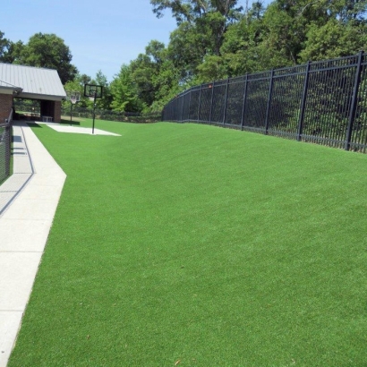 Artificial Turf Lexington, Tennessee Landscape Design, Commercial Landscape