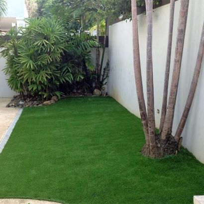 Artificial Turf Spurgeon, Tennessee Roof Top, Backyard Designs