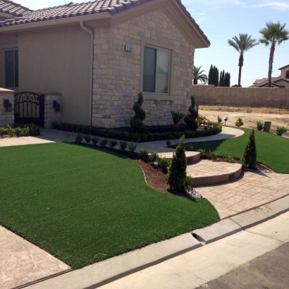 Best Artificial Grass Decherd, Tennessee Landscaping, Front Yard Landscaping Ideas