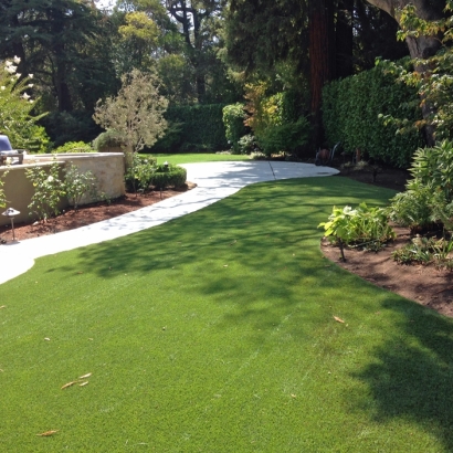 Best Artificial Grass Pikeville, Tennessee Lawn And Garden, Backyard Design