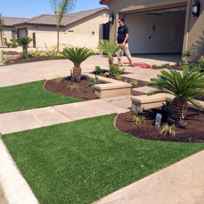 Best Artificial Grass Waynesboro, Tennessee Design Ideas, Front Yard Design