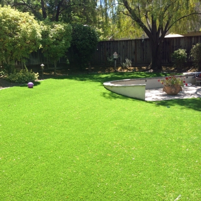 Fake Grass Lobelville, Tennessee Garden Ideas, Backyard Designs