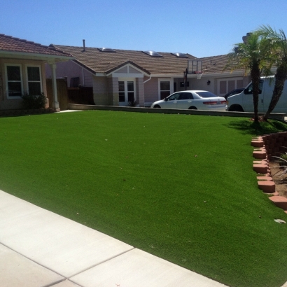 Fake Grass South Pittsburg, Tennessee Landscape Ideas, Landscaping Ideas For Front Yard