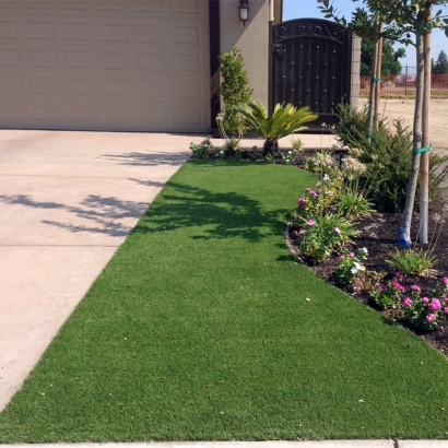 Fake Lawn Sweetwater, Tennessee Home And Garden, Front Yard Landscape Ideas