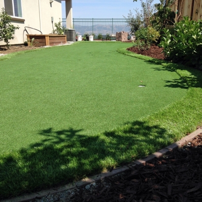 Fake Turf Mount Carmel, Tennessee Roof Top, Backyard Garden Ideas