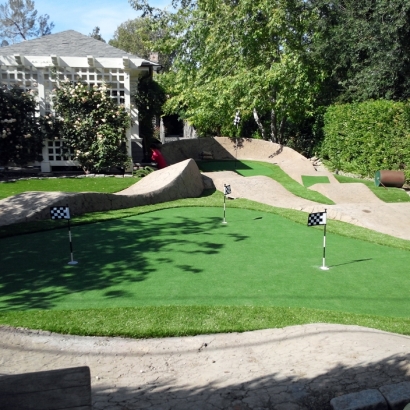 Faux Grass Rogersville, Tennessee Best Indoor Putting Green, Backyard Designs