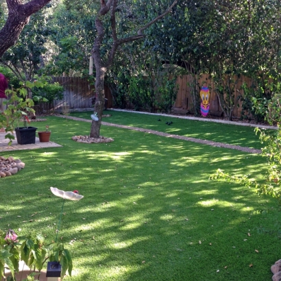 Grass Carpet Brownsville, Tennessee Lawn And Landscape, Backyard Ideas