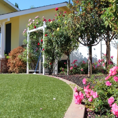 Grass Turf Baileyton, Tennessee Backyard Playground, Landscaping Ideas For Front Yard