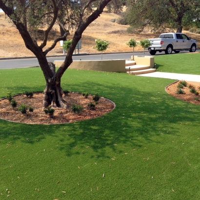 Grass Turf Hunter, Tennessee Home And Garden, Front Yard